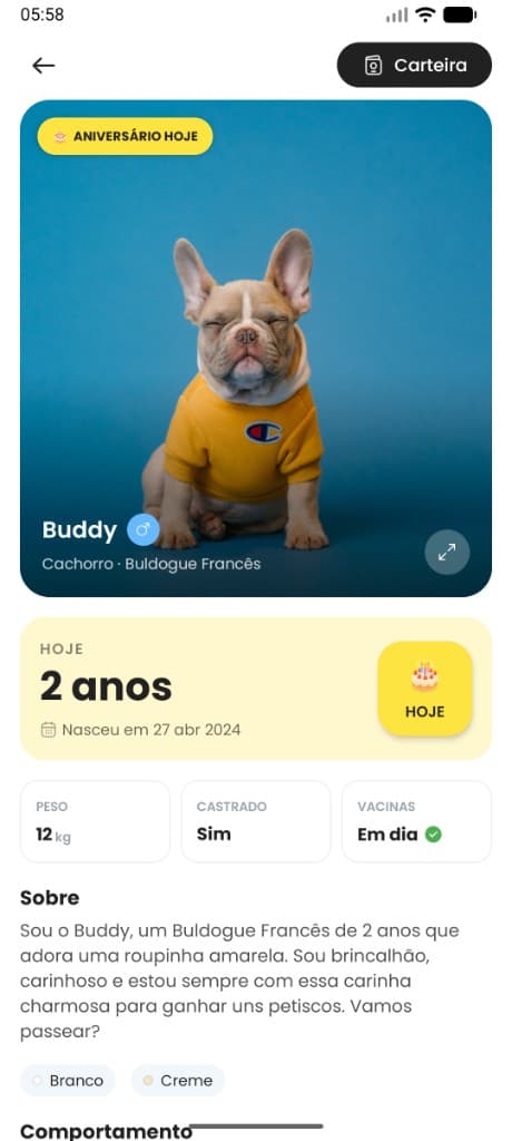 Tela do app Adotchi com perfil de pet